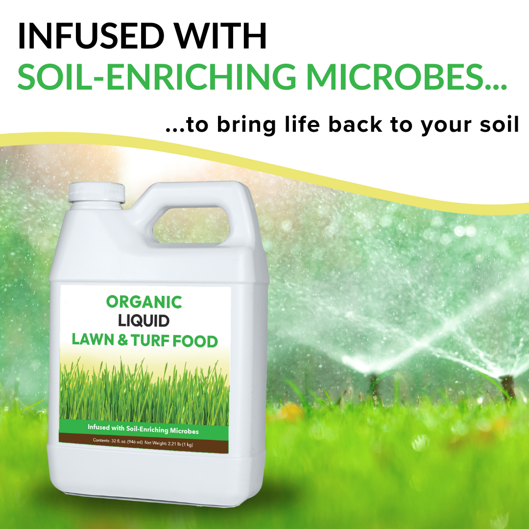 Organic Liquid Lawn & Turf Food - 32oz