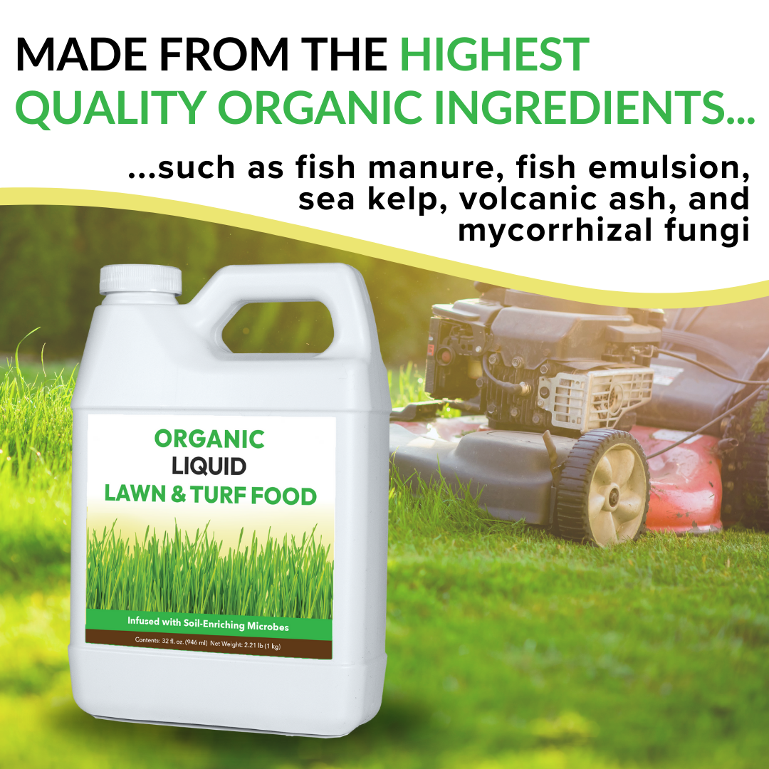 Organic Liquid Lawn & Turf Food - 32oz