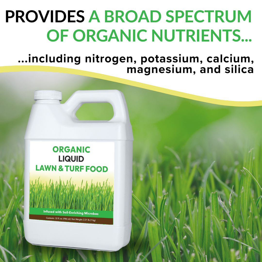 Organic Liquid Lawn & Turf Food - 32oz