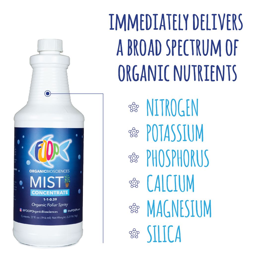 FOOP Mist Concentrate - 5G