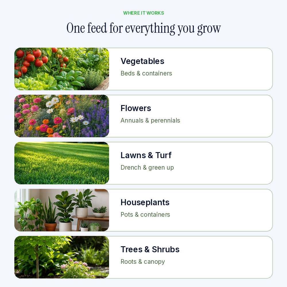 FOOP Garden - 1G