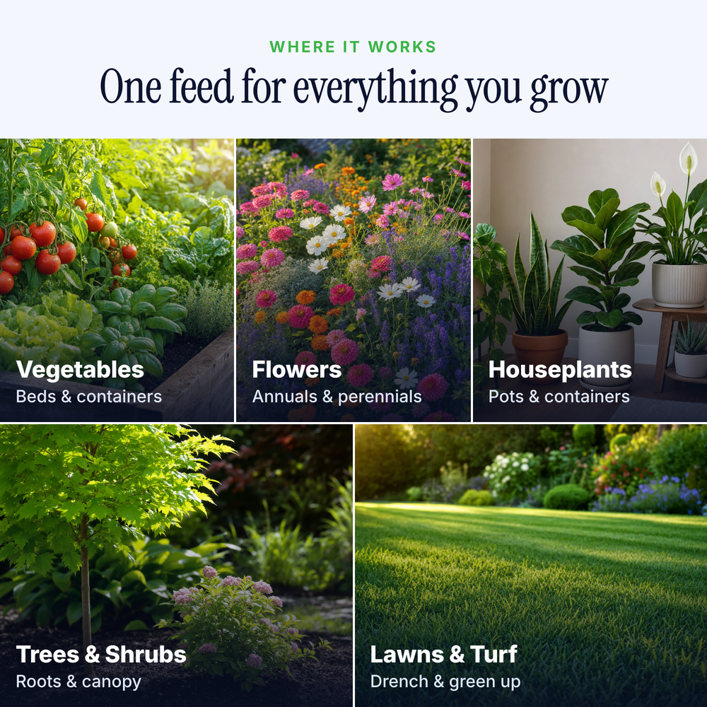 FOOP Garden - 5G