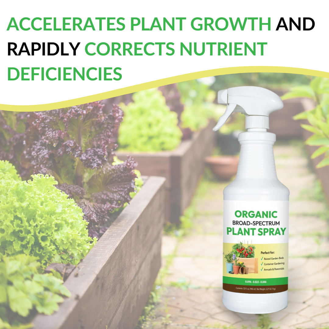 Organic Broad-Spectrum Plant Spray - 32oz (Case of 12 Units)