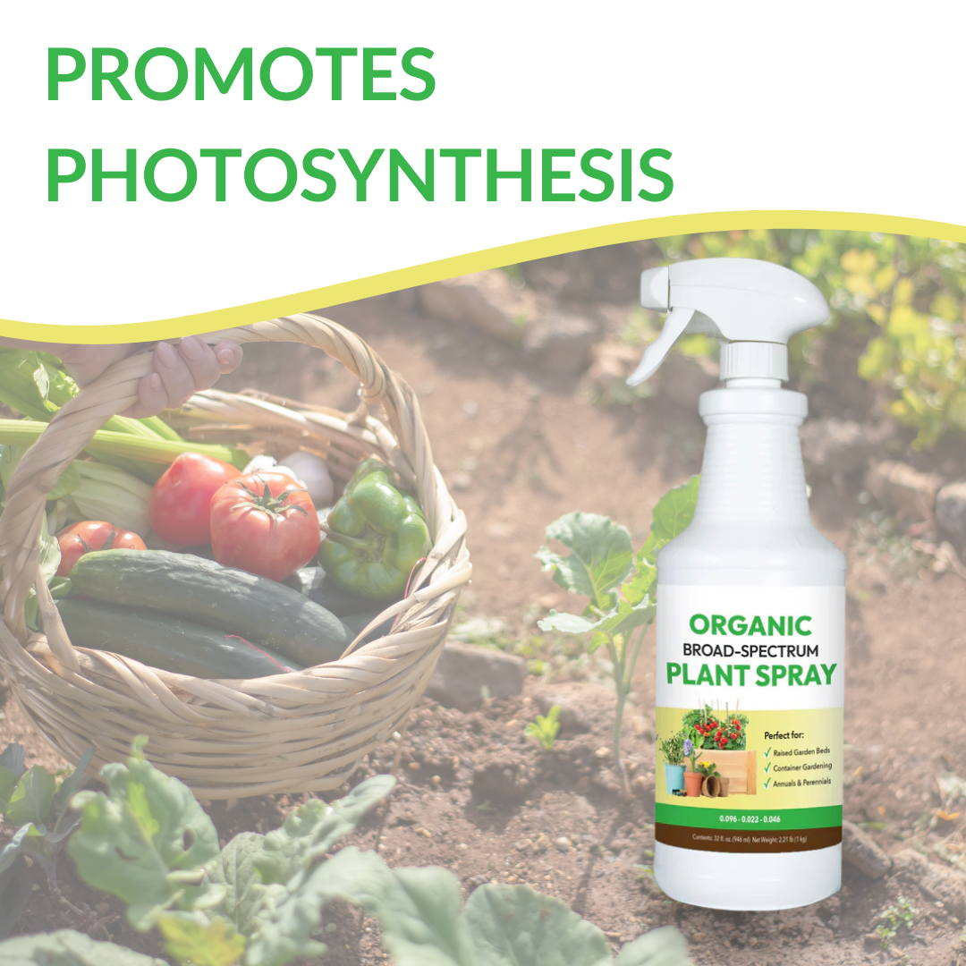 Organic Broad-Spectrum Plant Spray - 32oz (Case of 12 Units)