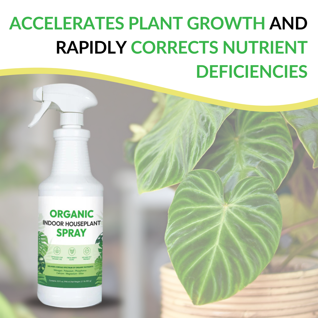 Organic Indoor Houseplant Spray - 32oz (Case of 12 Units)