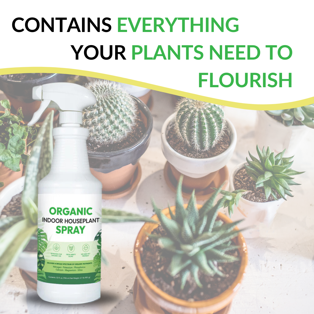 Organic Indoor Houseplant Spray - 32oz (Case of 12 Units)