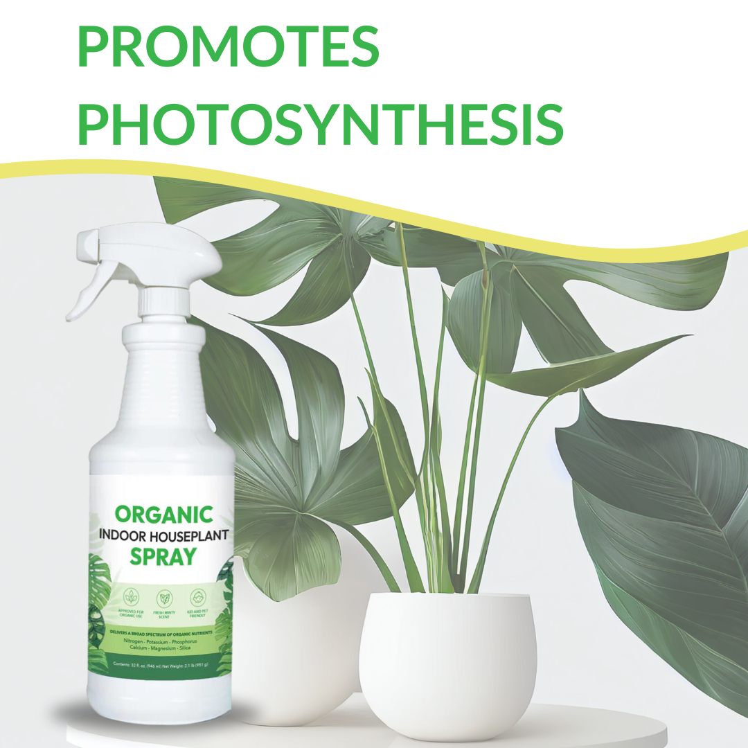 Organic Indoor Houseplant Spray - 32oz