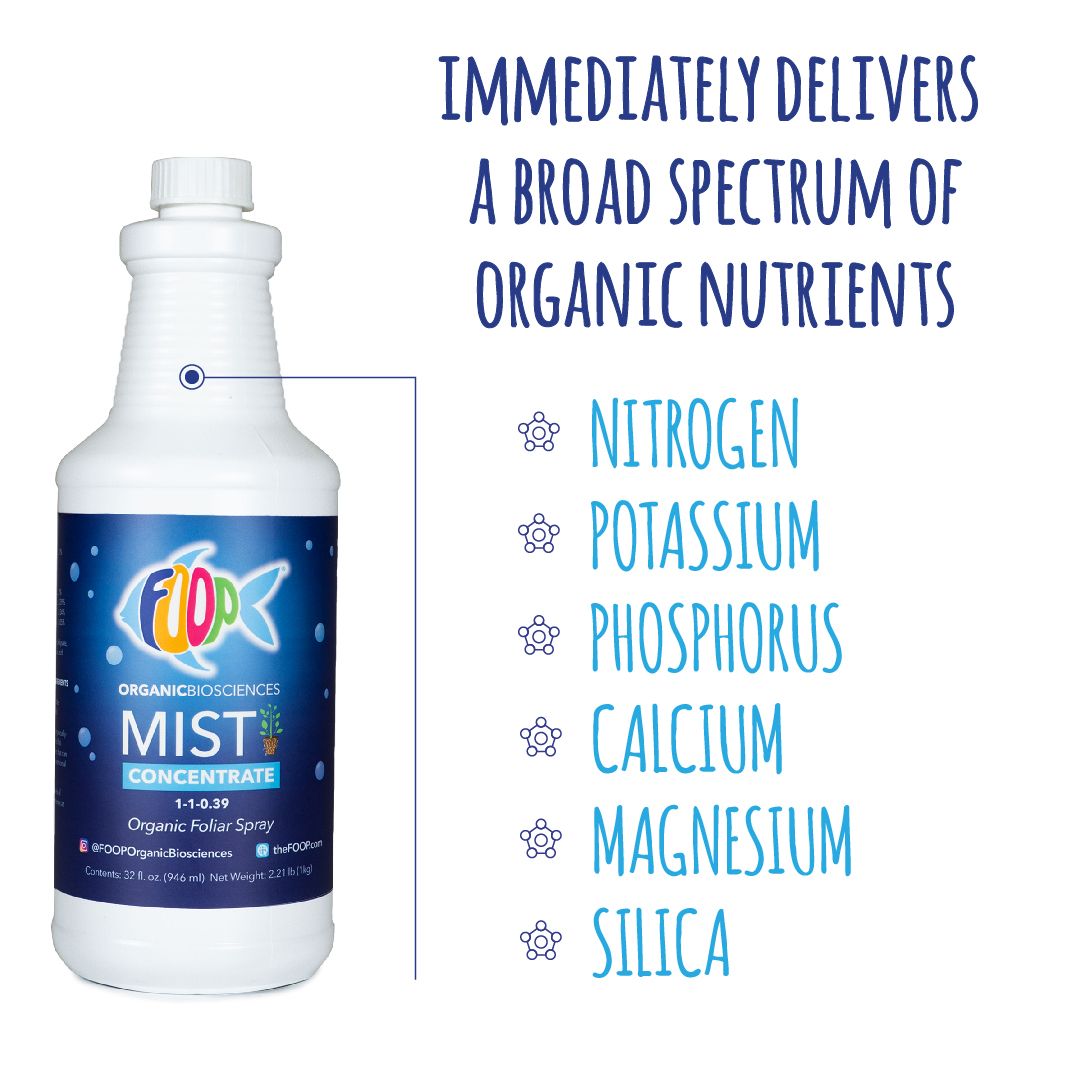 Mist Concentrate - 5G