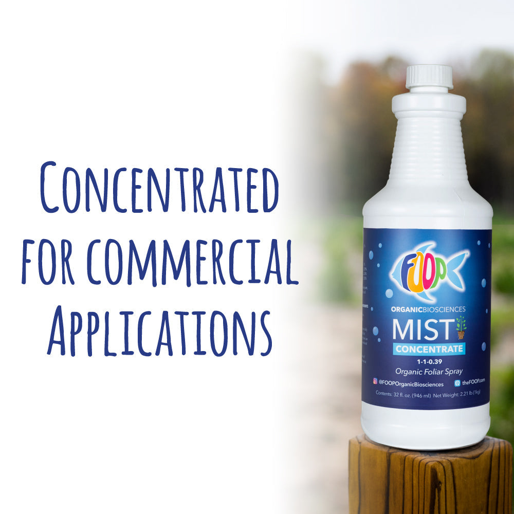 Mist Concentrate - 55G