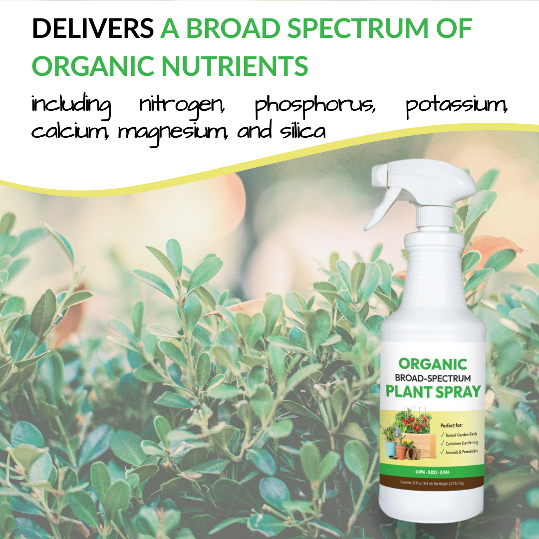 Organic Broad-Spectrum Plant Spray - 32oz