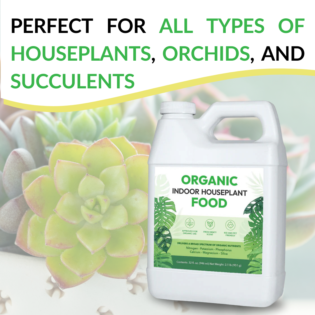 Organic Indoor Houseplant Food - 16oz