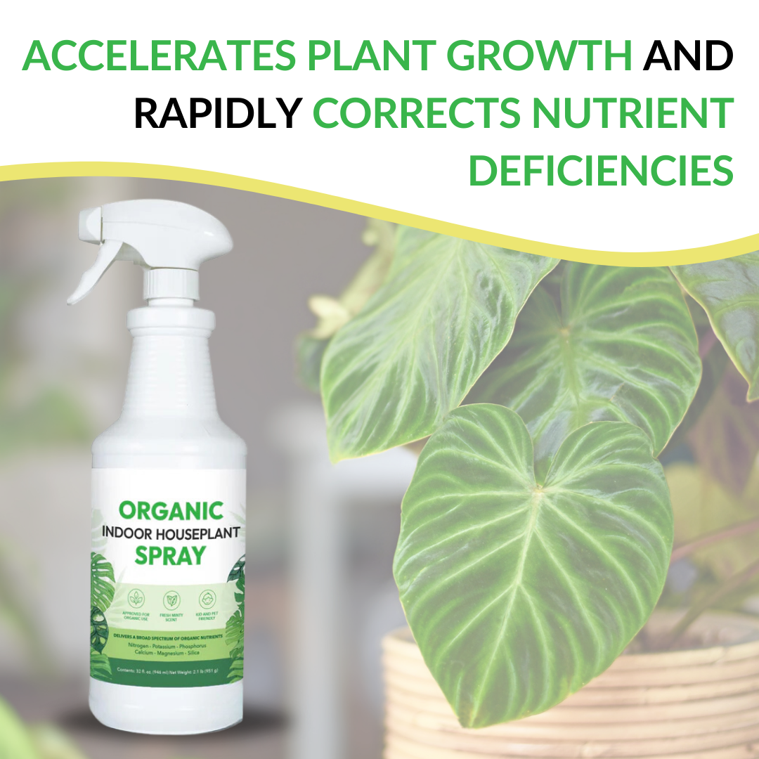 Organic Indoor Houseplant Spray - 16oz