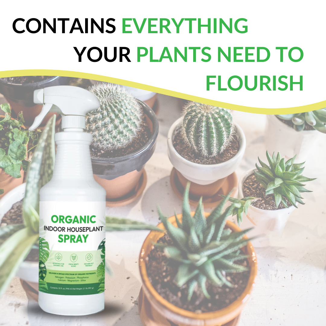 Organic Indoor Houseplant Spray - 32oz