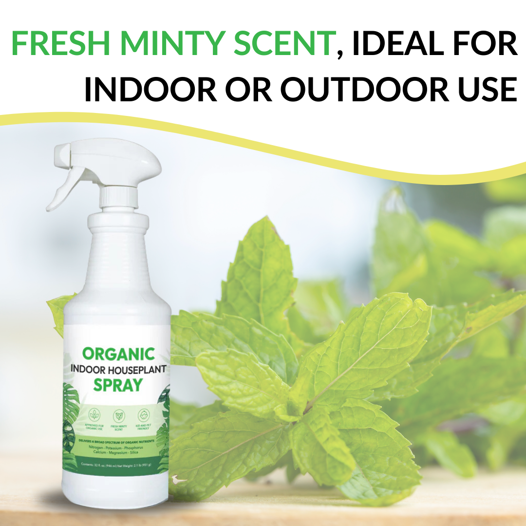 Organic Indoor Houseplant Spray - 16oz