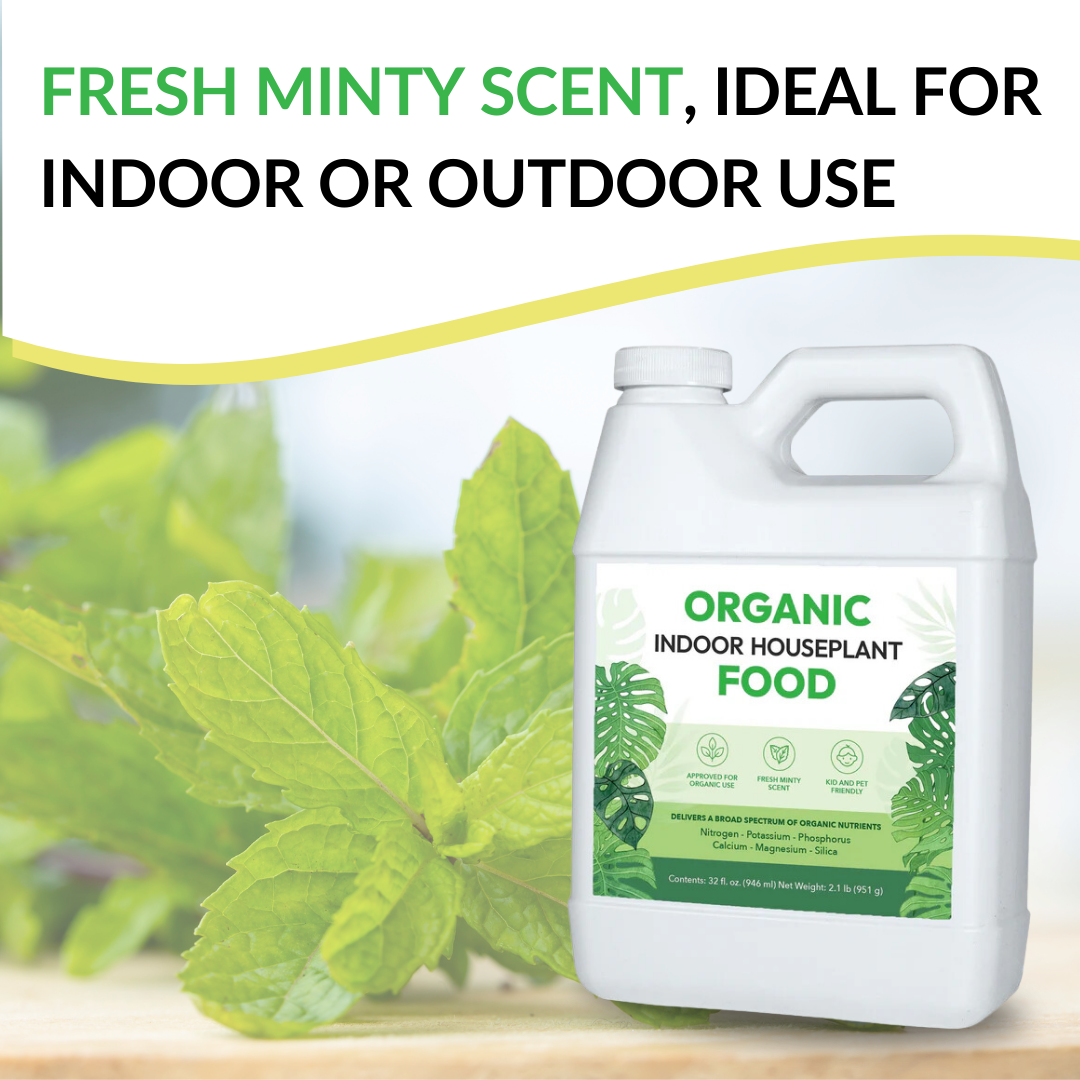 Organic Indoor Houseplant Food - 16oz