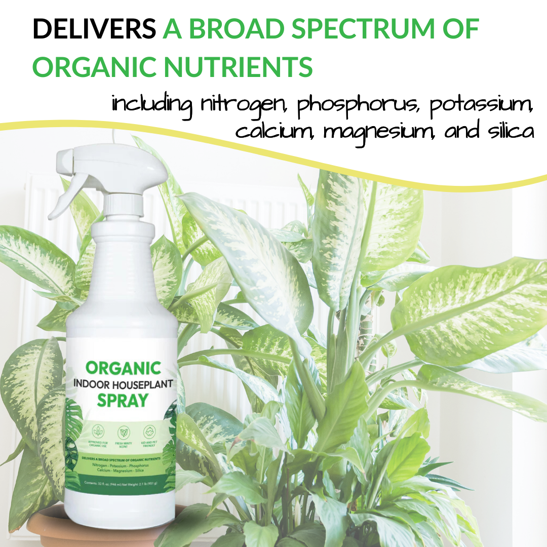 Organic Indoor Houseplant Spray - 16oz