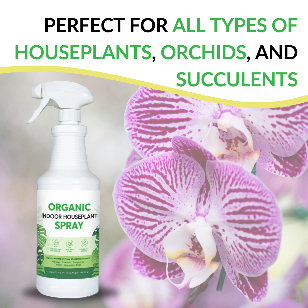 Organic Indoor Houseplant Spray - 16oz (Case of 20 Units)