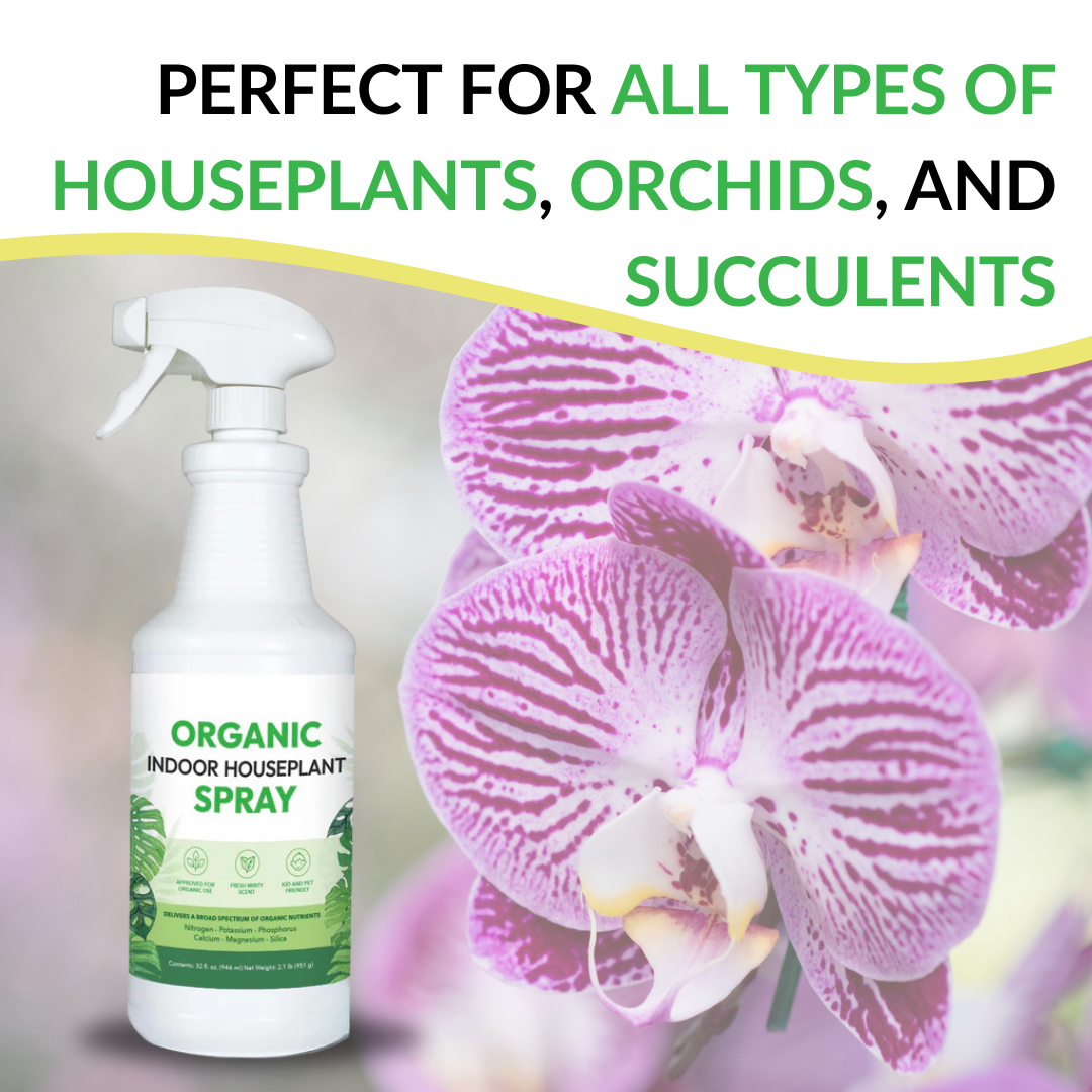 Organic Indoor Houseplant Spray - 32oz