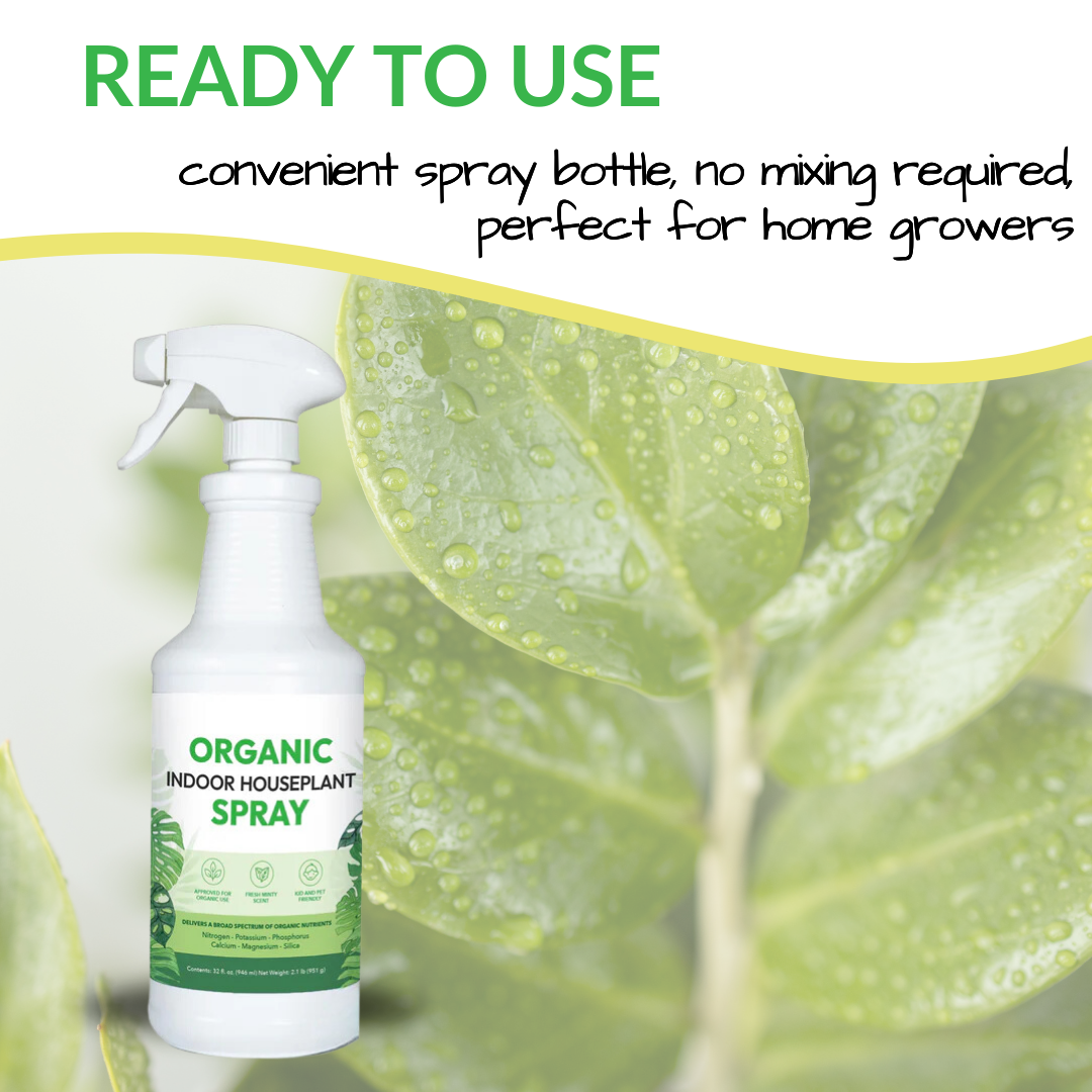 Organic Indoor Houseplant Spray - 16oz