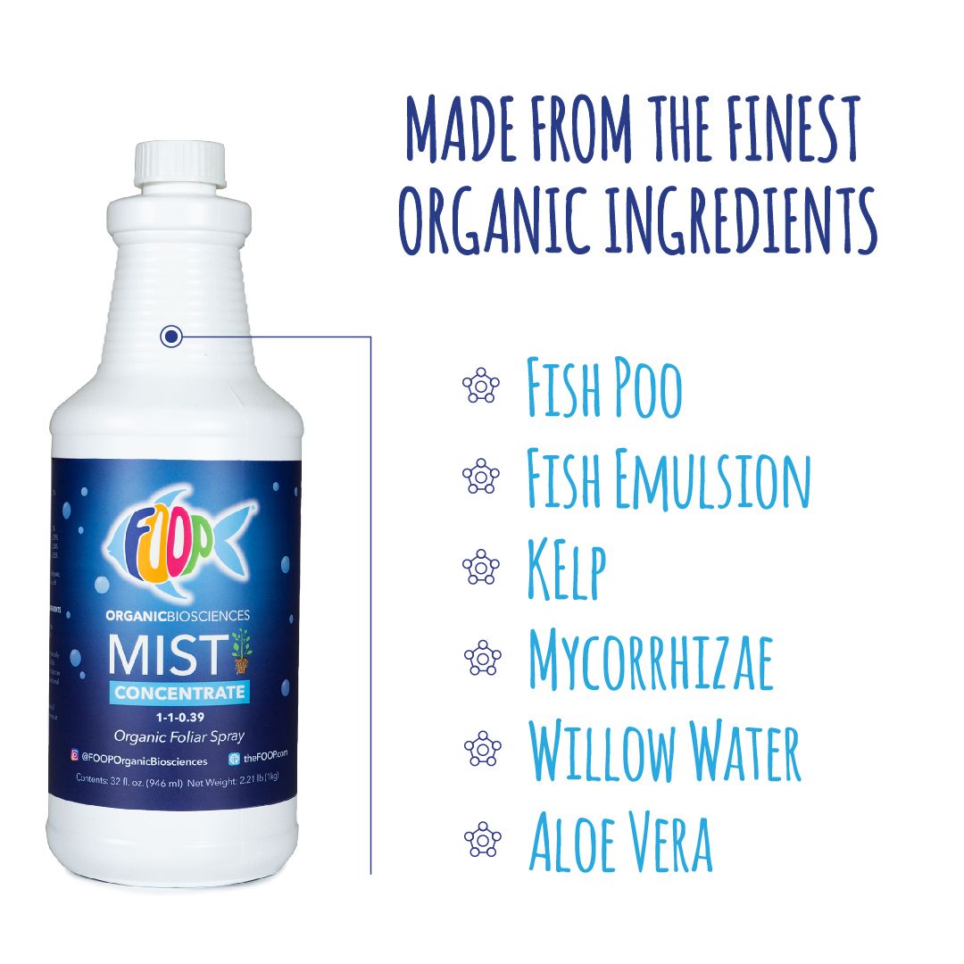 Mist Concentrate - 55G