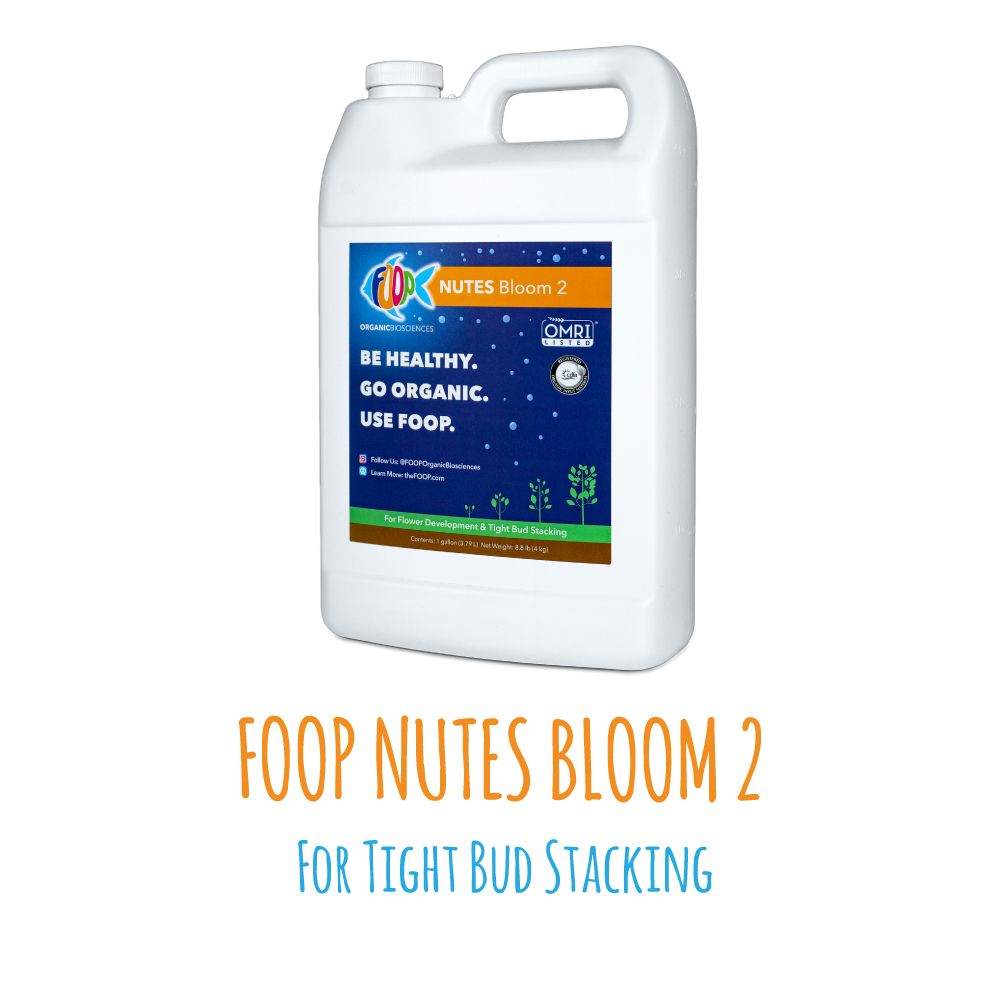 Nutes Bloom 2 - 1G (Case of 3 Units)