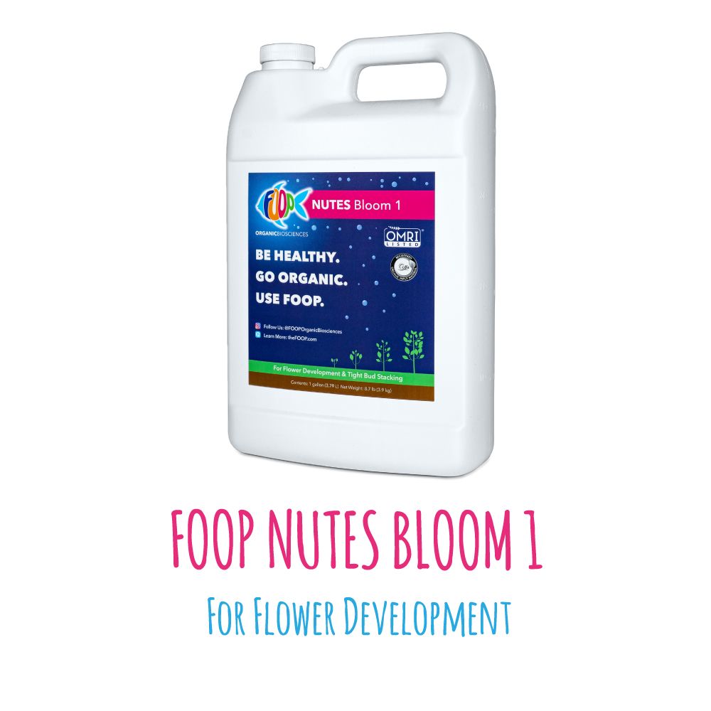 Nutes Bloom 1 - 1G (Case of 3 Units)