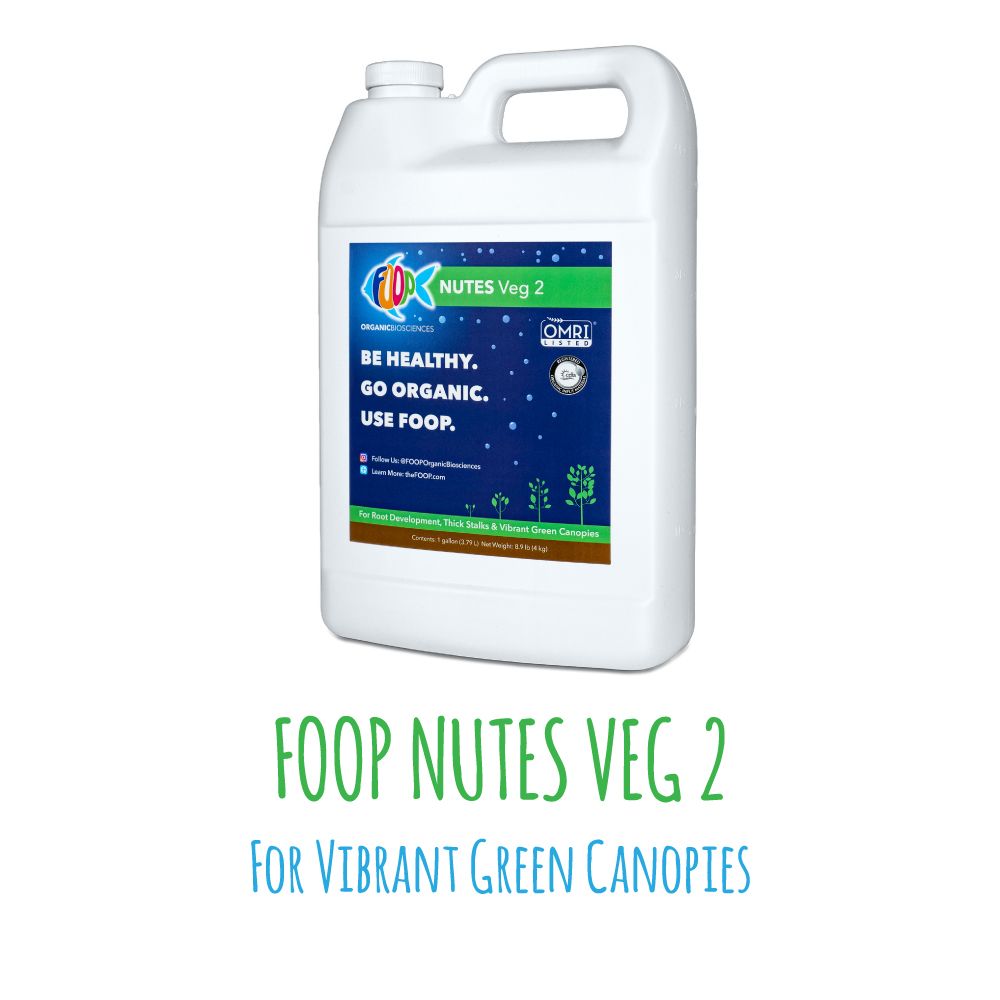 Nutes Veg 2 - 1G (Case of 3 Units)